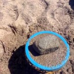 Un assaggio di Emilia terremotata – Guarda il video che spiega l’impatto del terremoto