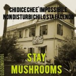 Mushrooms 2.0