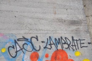 DSC_4895
