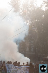DSC_6379