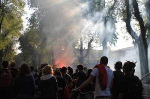 IMG_7557