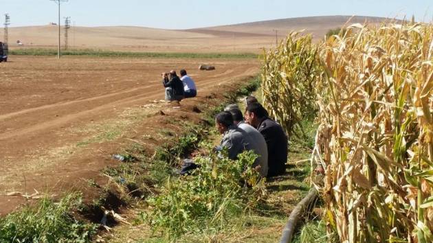 Report #2 giorno 1 – Bisogna difendere la Rojava.