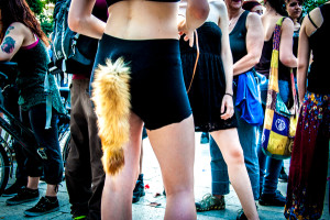 DSC_7528