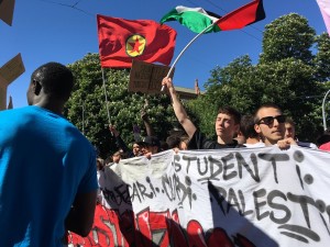 corteo13
