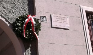 stadera8