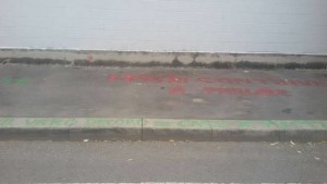 Picture5