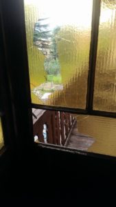 IMG_0767