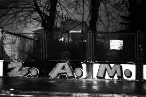 Murales sul muro esterno durante la prima settimana di occupazione