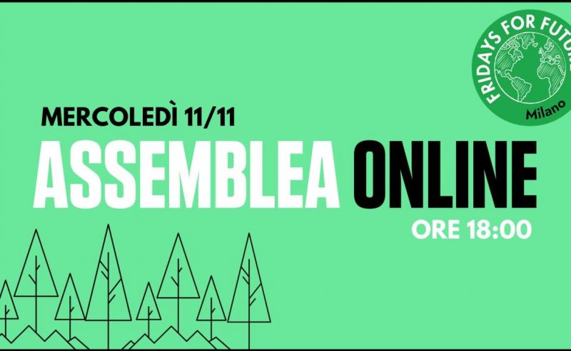 Assemblea ordinaria FFF Milano – 11 novembre