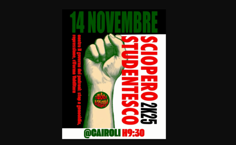 14 novembre, sciopero studentesco