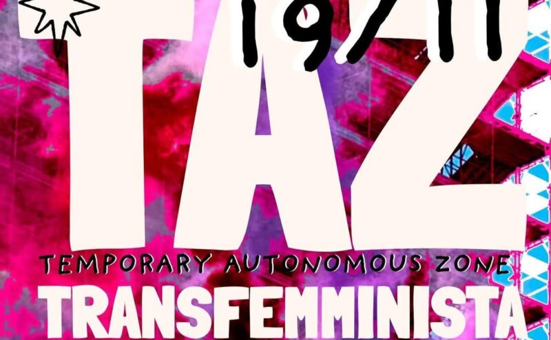 TAZ transfemminista – Occupiamo gli spazi vuoti!
