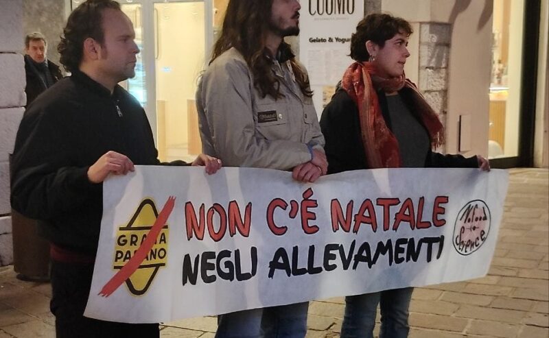 Grana Padano e noi: costringere l’industria zootecnica a difendersi.