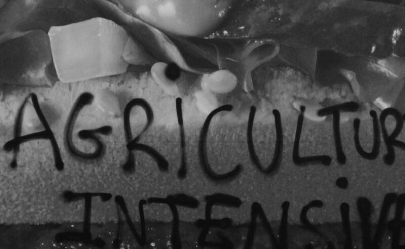 Chi ha tempo per pensare a quello che mangia?