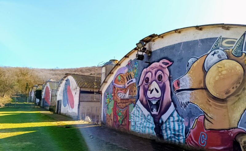 Agripunk non si sfratta!